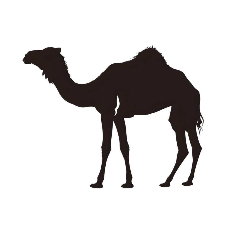 Camel silhouette Arabian pattern set against transparent background png