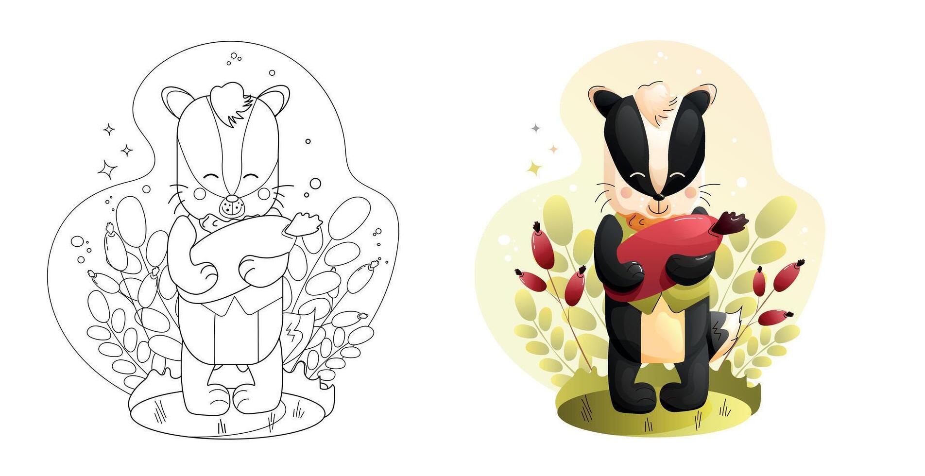 Childrens animals set. Cute Badger Characters Coloring Page Black and White and Colored Versions. vector