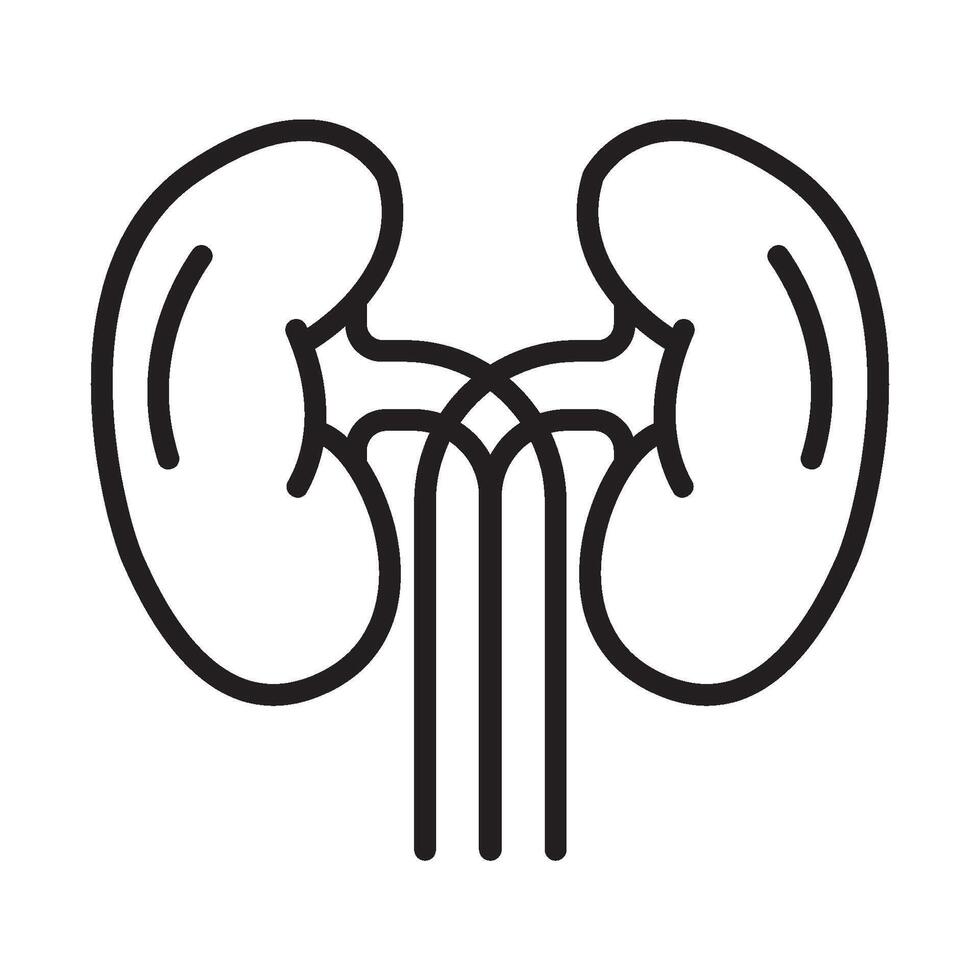 kidney icon symbol vector