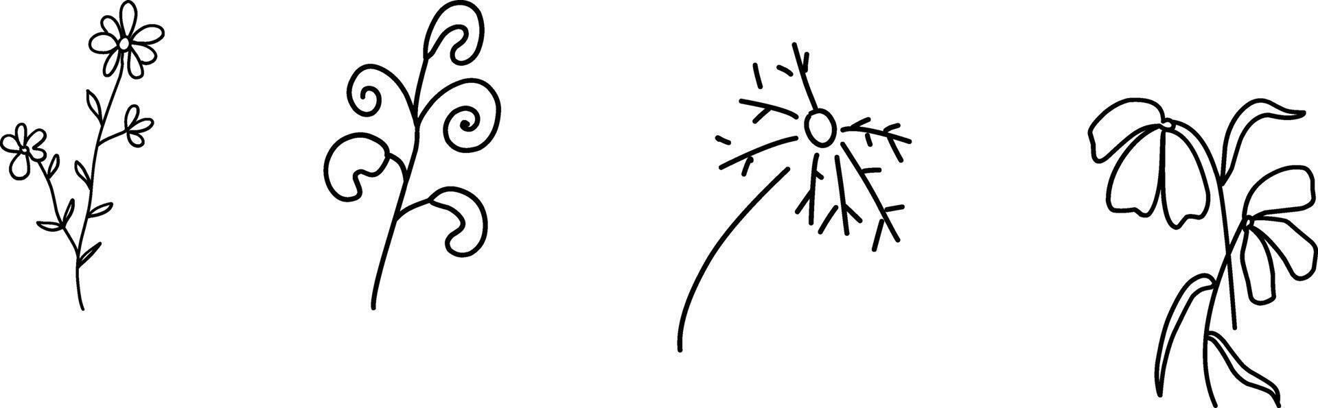 Wildflowers collection. Collection of twigs. Twigs Hand drawn floral elements. Hand-drawn doodles illustration. Line art vector