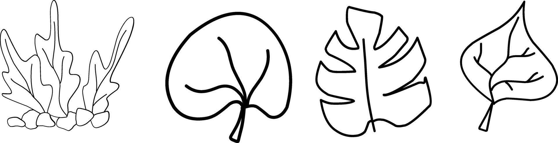 Wildflowers collection. Collection of twigs. Twigs Hand drawn floral elements. Hand-drawn doodles illustration. Line art vector