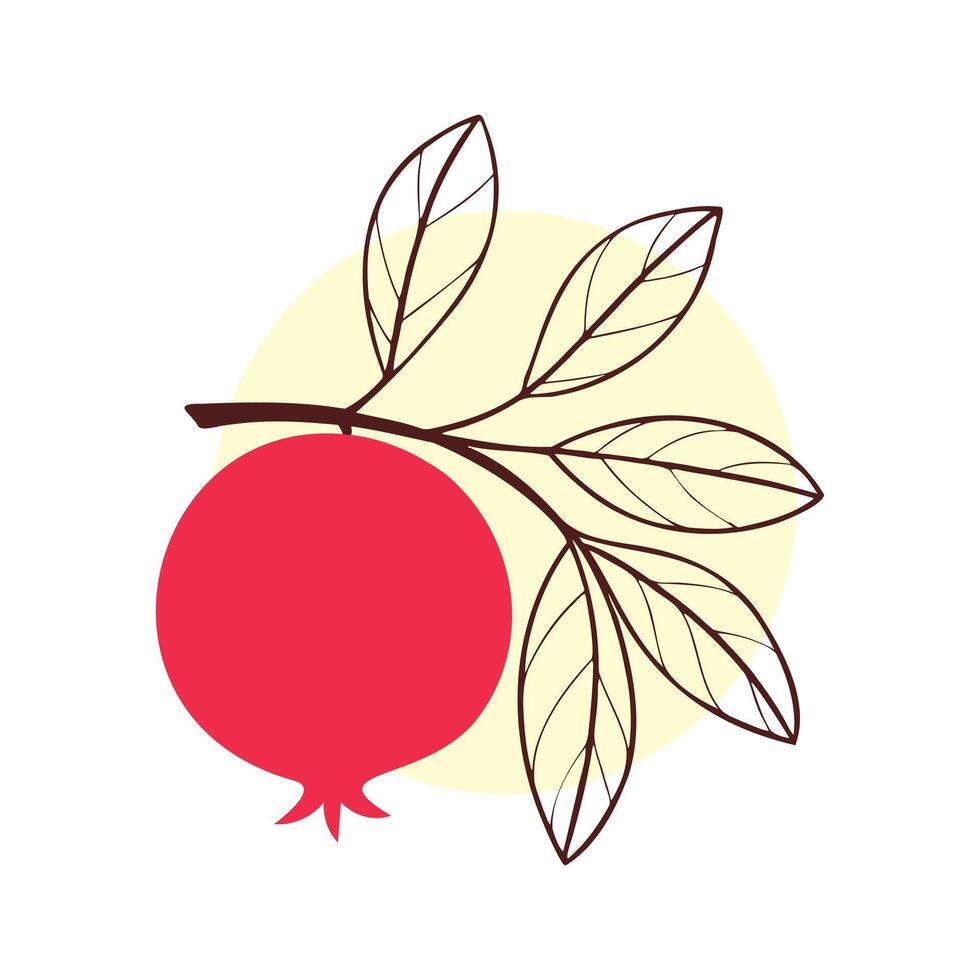 Pomegranate fruit on branch with leaves, stylized contour drawing on circle, logo icon, isolated on white background. vector