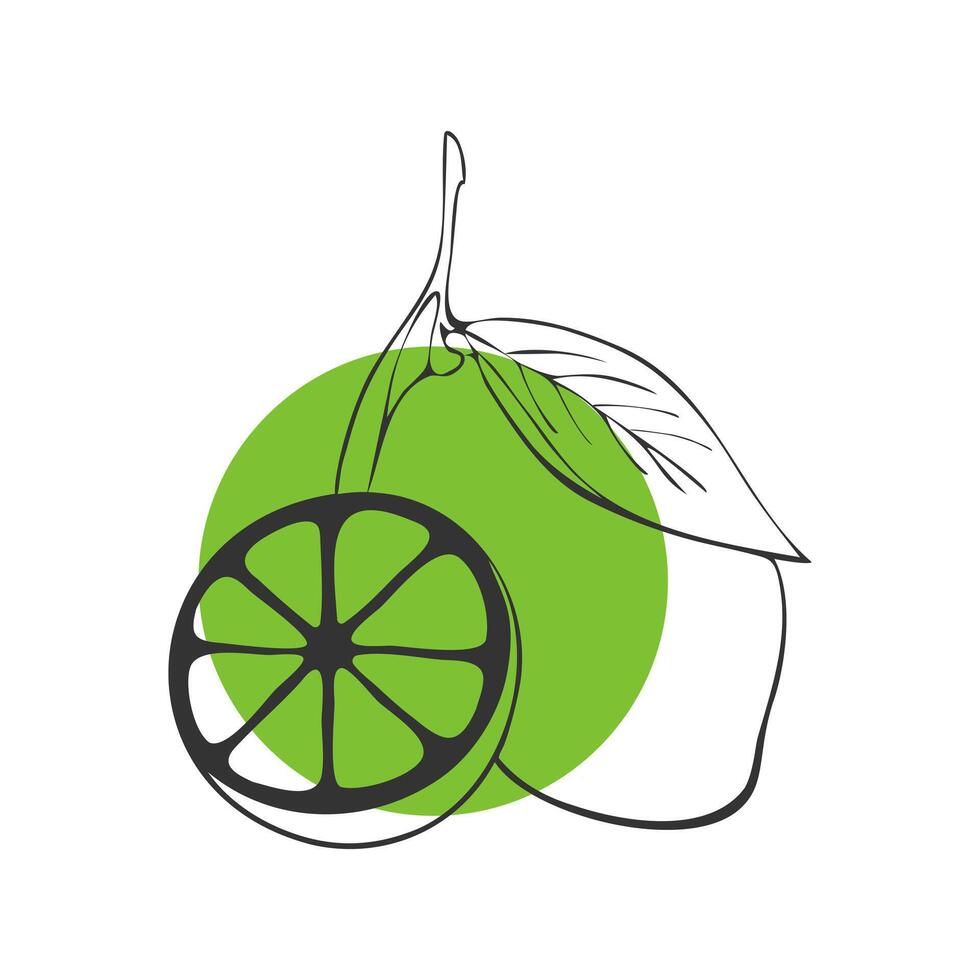 Lime fruit outline on green round background, contour whole fruit and cut in half. vector
