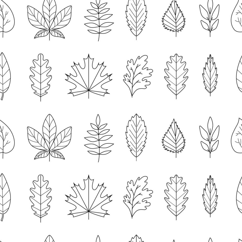 Linear botanical fall seamless ornament. Autumn leaves contours - maple, oak, aspen, acacia. Golden season. Pattern, background, digital paper, wallpaper. Black and white line art. vector