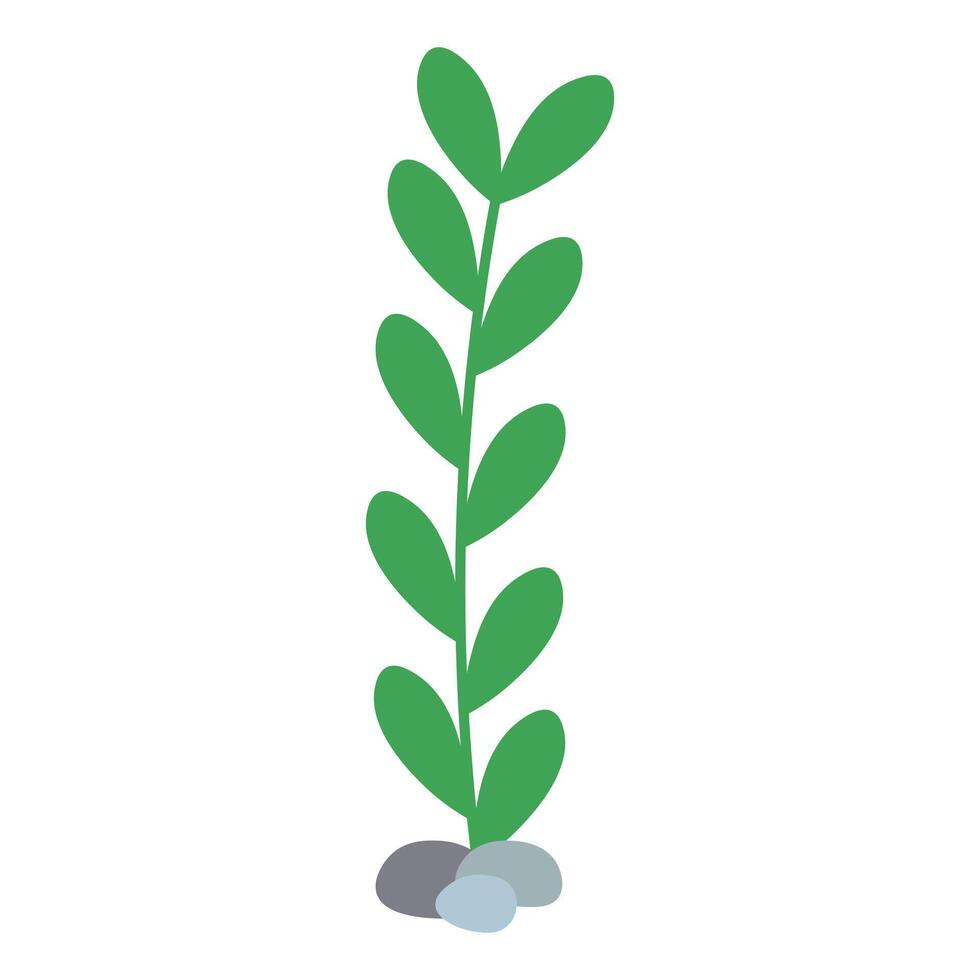 Green algae isolated on white background. Flat illustration vector