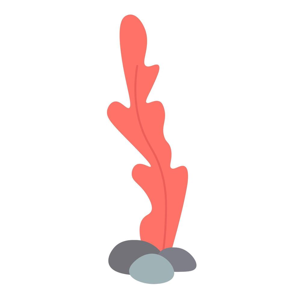 Red algae isolated on white background. Flat illustration vector