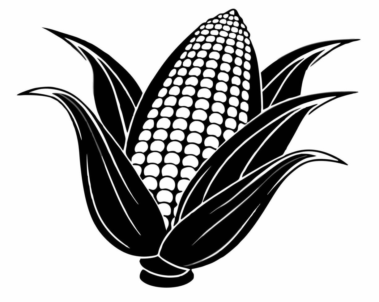 corn on the cob clip art vector