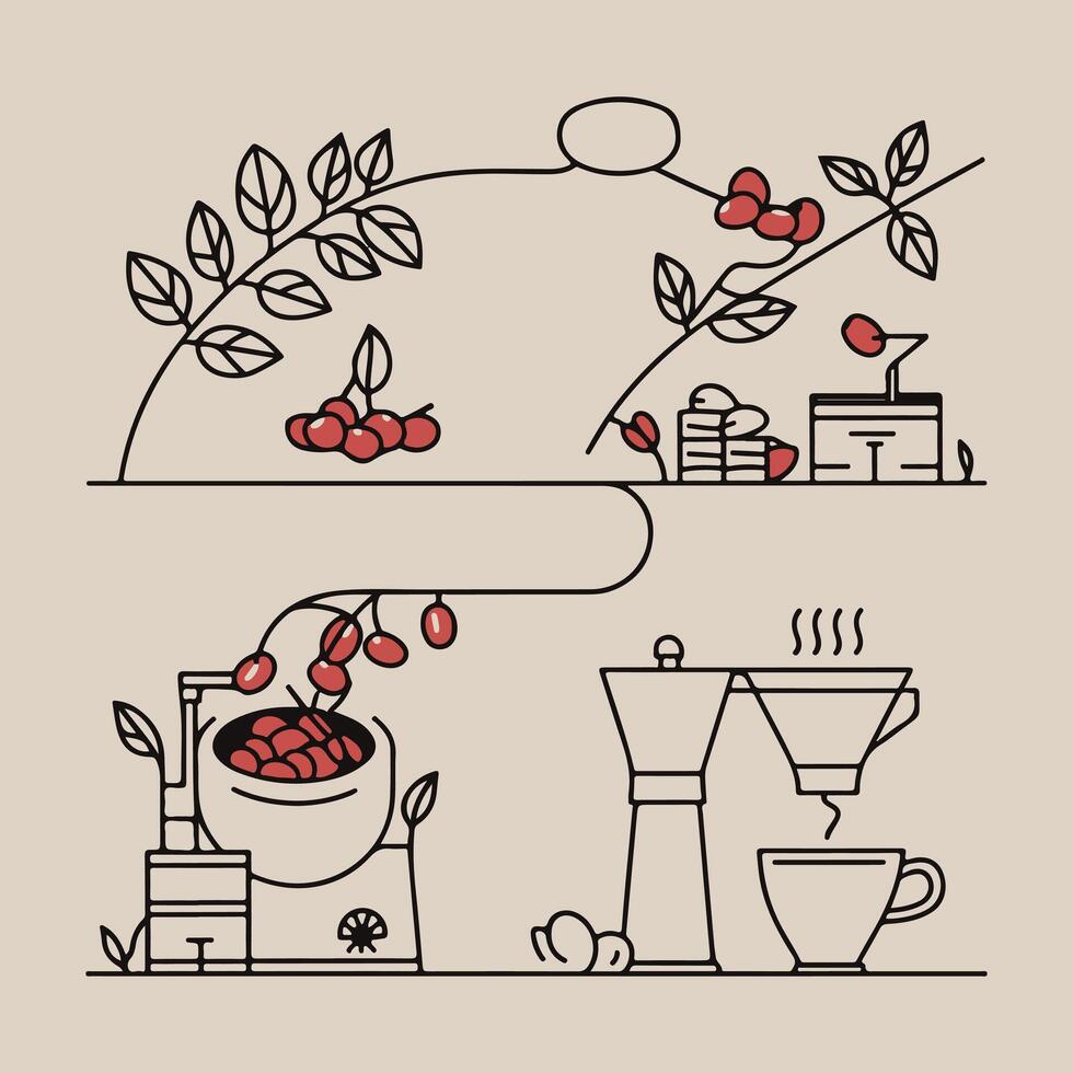 Minimalist Coffee Process Illustration - From Bean Harvest to Brewing with Line Art Design vector