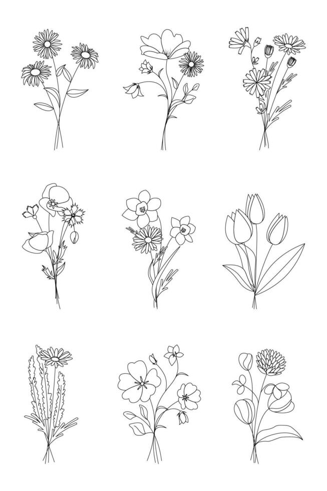 Wildflower line art bouquets set. Hand drawn flowers, meadow herbs, wild plants, botanical elements for arrangements, invitation, greeting cards, wall art, logo, tattoo design. vector