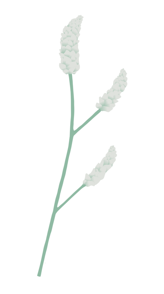 image of a plant png
