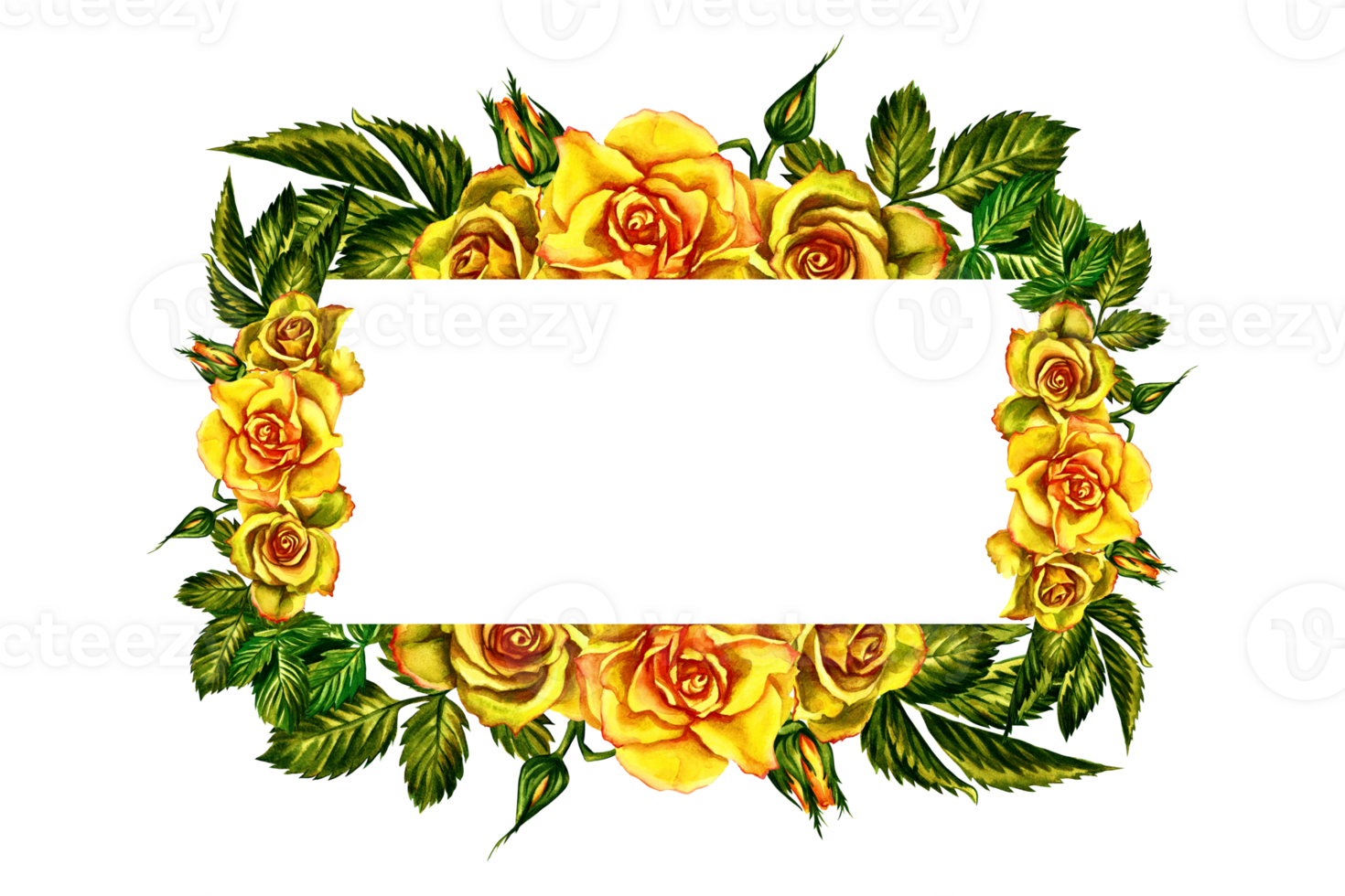 The roses are yellow. Flower frame. A hand-drawn watercolor illustration. Watercolor design of wedding, greeting and invitation cards. For packaging and labels, backgrounds and banners, posters. png