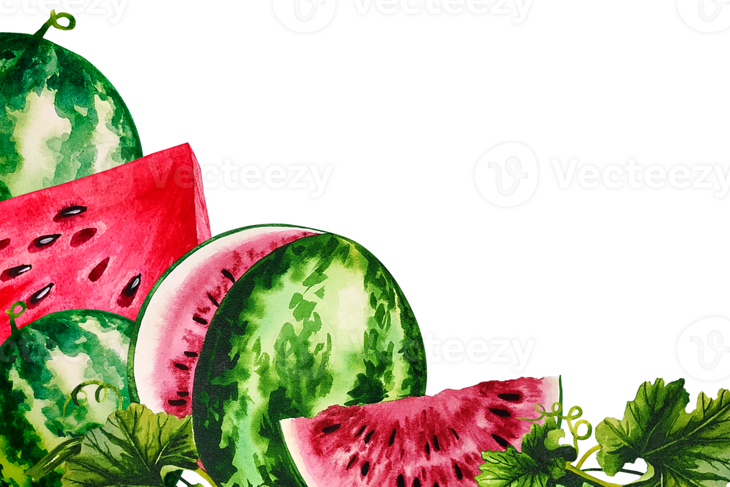 Watermelon. A frame with a picture of watermelons. Handmade watercolor illustration. For packaging and banners. For textiles and stickers, menus and posters, for flyers, postcards and labels. png