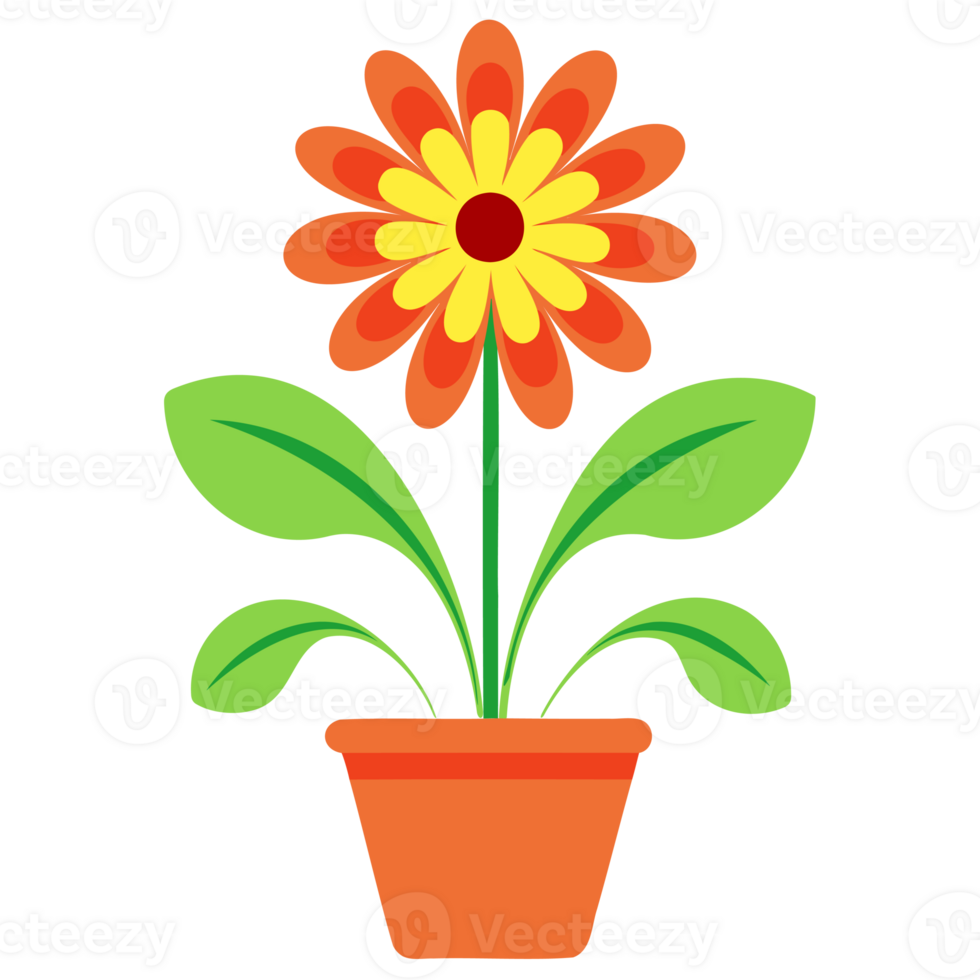 Flower In a Pot png