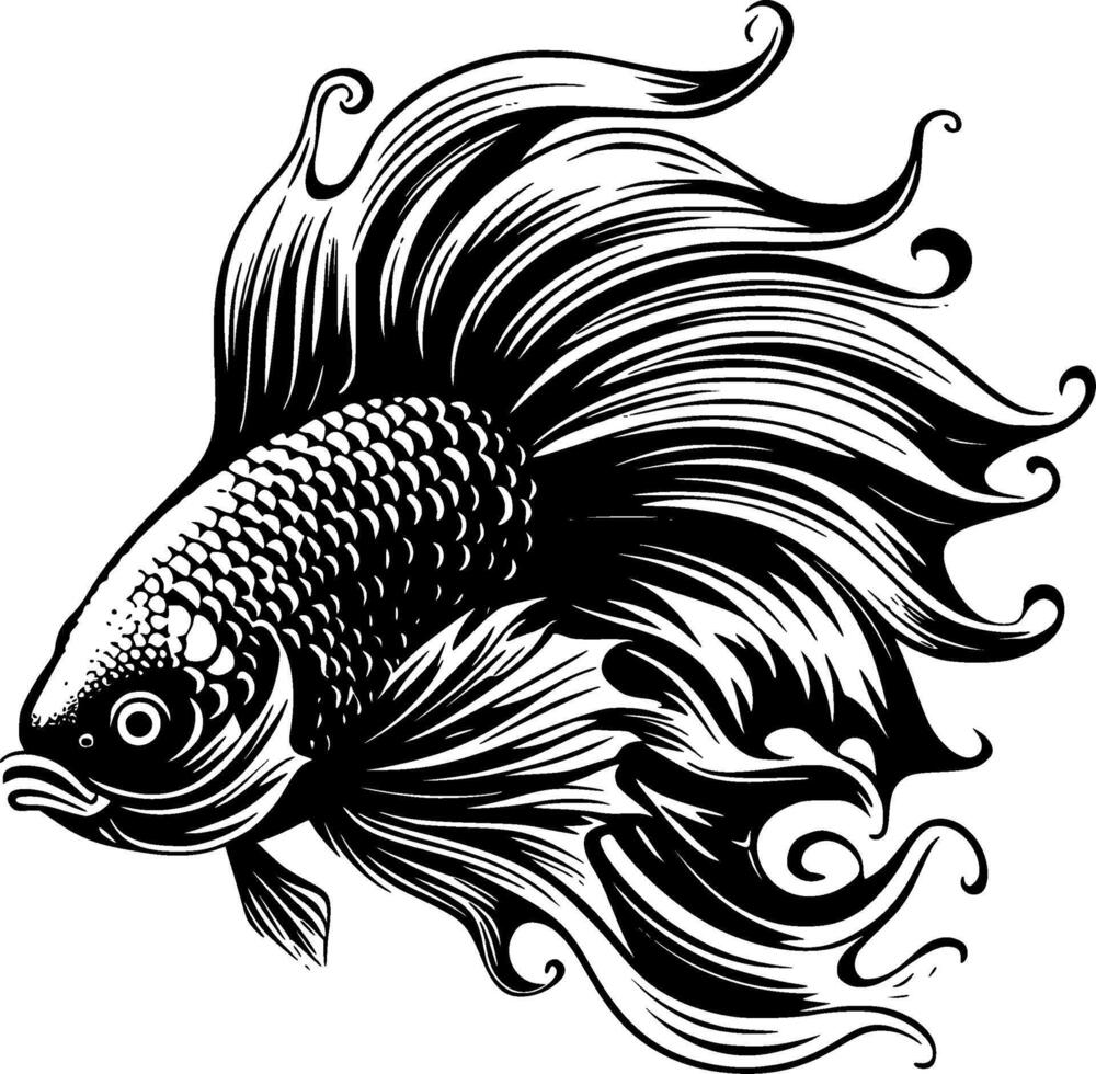 Betta Fish, Black and White illustration vector