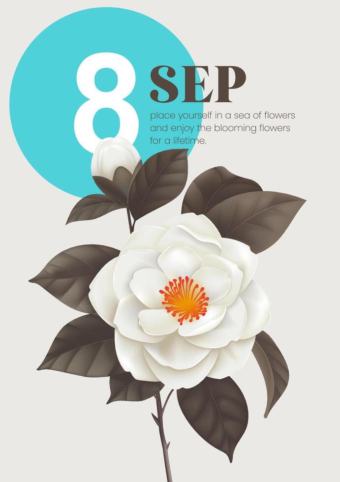 Blooming camellia illustration design template vector
