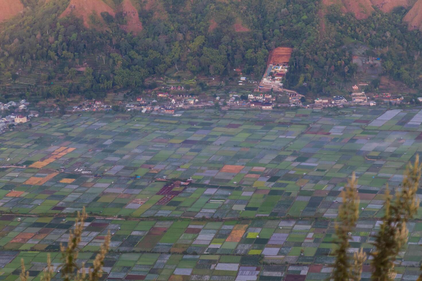 View of Sembalun village with a thin mist in the morning photo