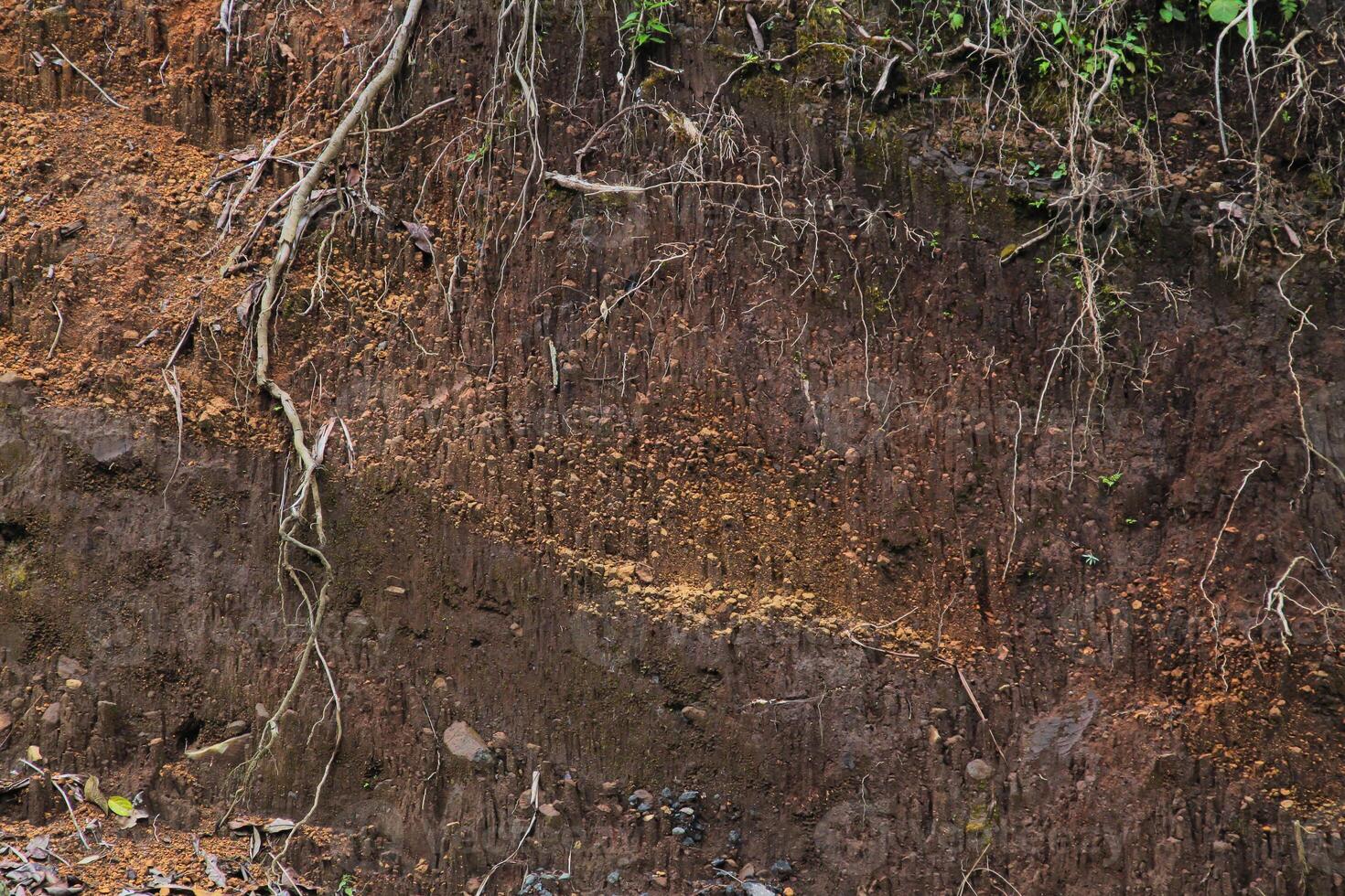 underground layer in a cross-section of the earth, eroding the soil with plant roots photo