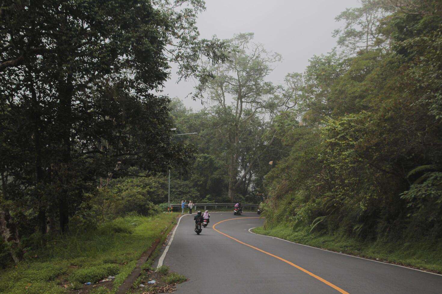 Pusuk Forest Highway, Sembalun tourist spot, East Lombok photo