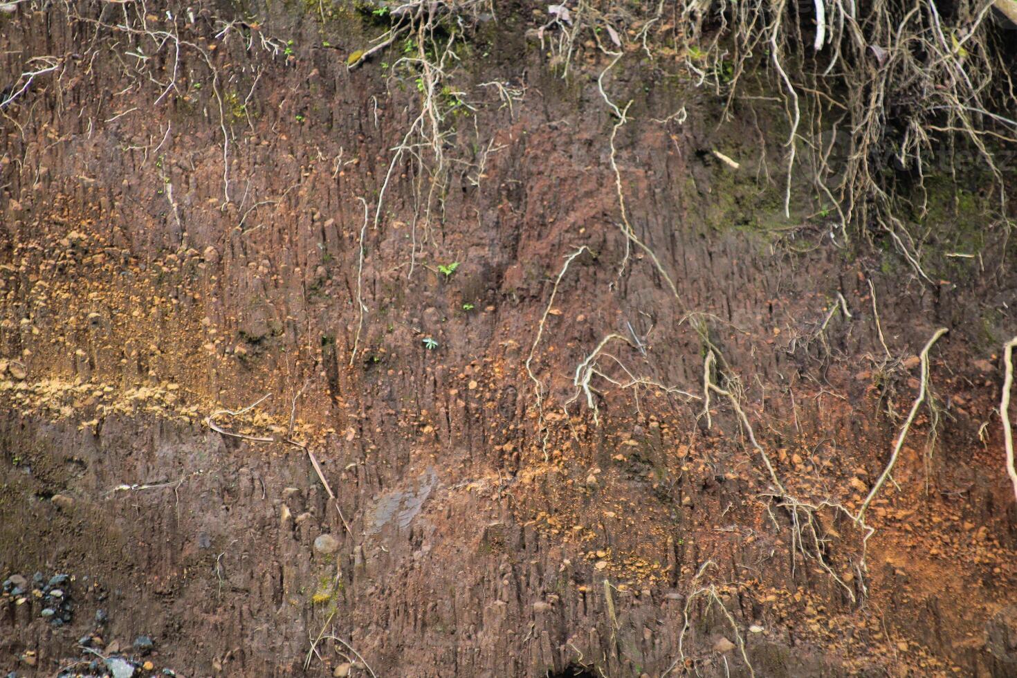 underground layer in a cross-section of the earth, eroding the soil with plant roots photo
