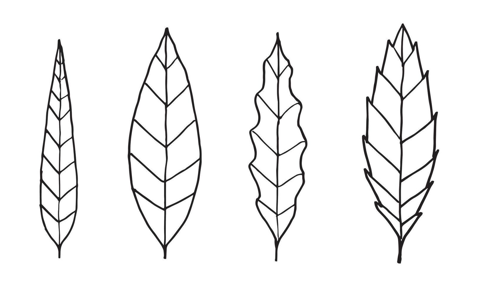 doodle leaves set on white background. vector