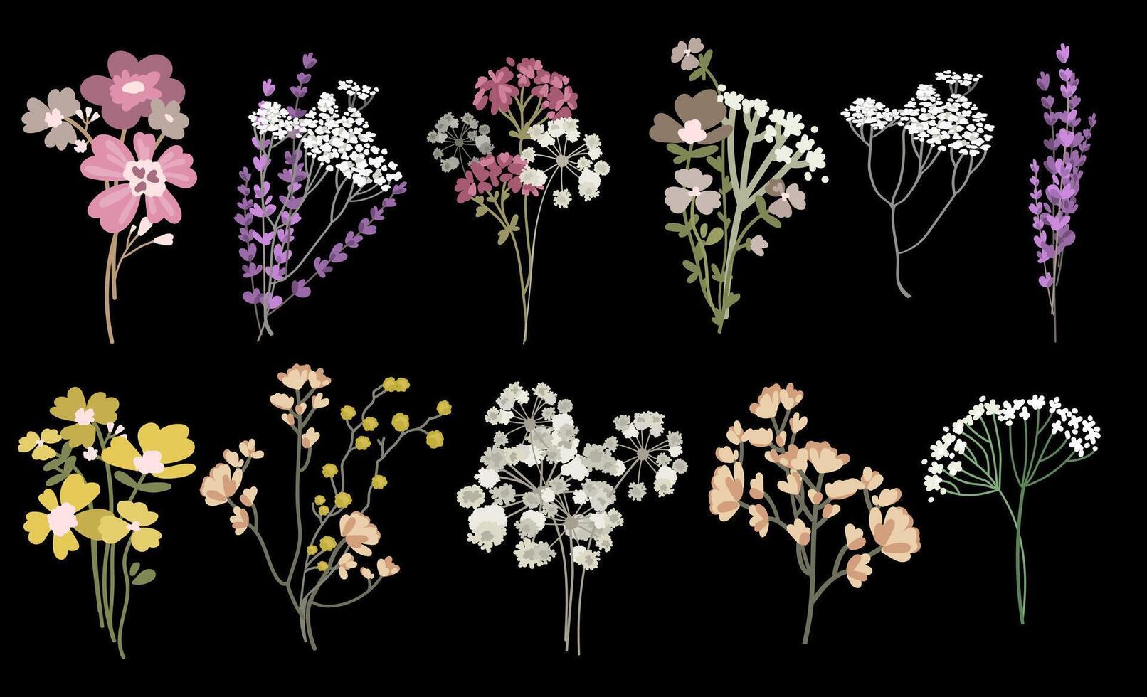 Wild flowers set.Botanist blossom floral elements collection.Field herbs and dried flowers bouquets. Branches, flowers, leaves, herbs, wild plants.Set of wild field herbs. illustration vector