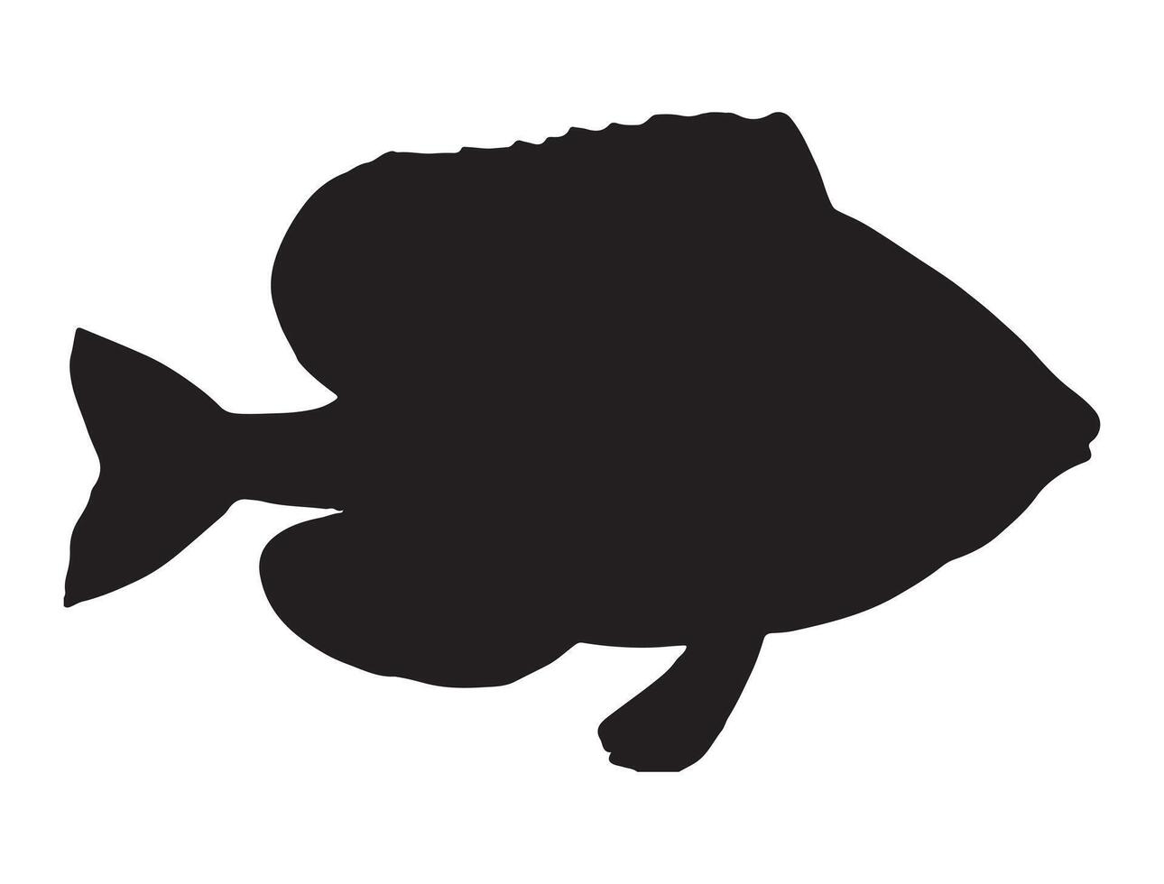 Pumpkinseed fish silhouette vector