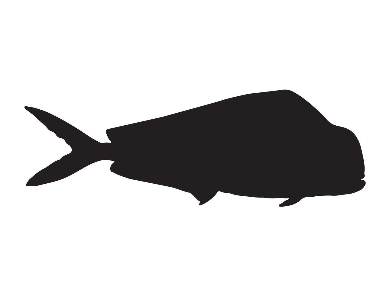 Mahi mahi fish silhouette vector