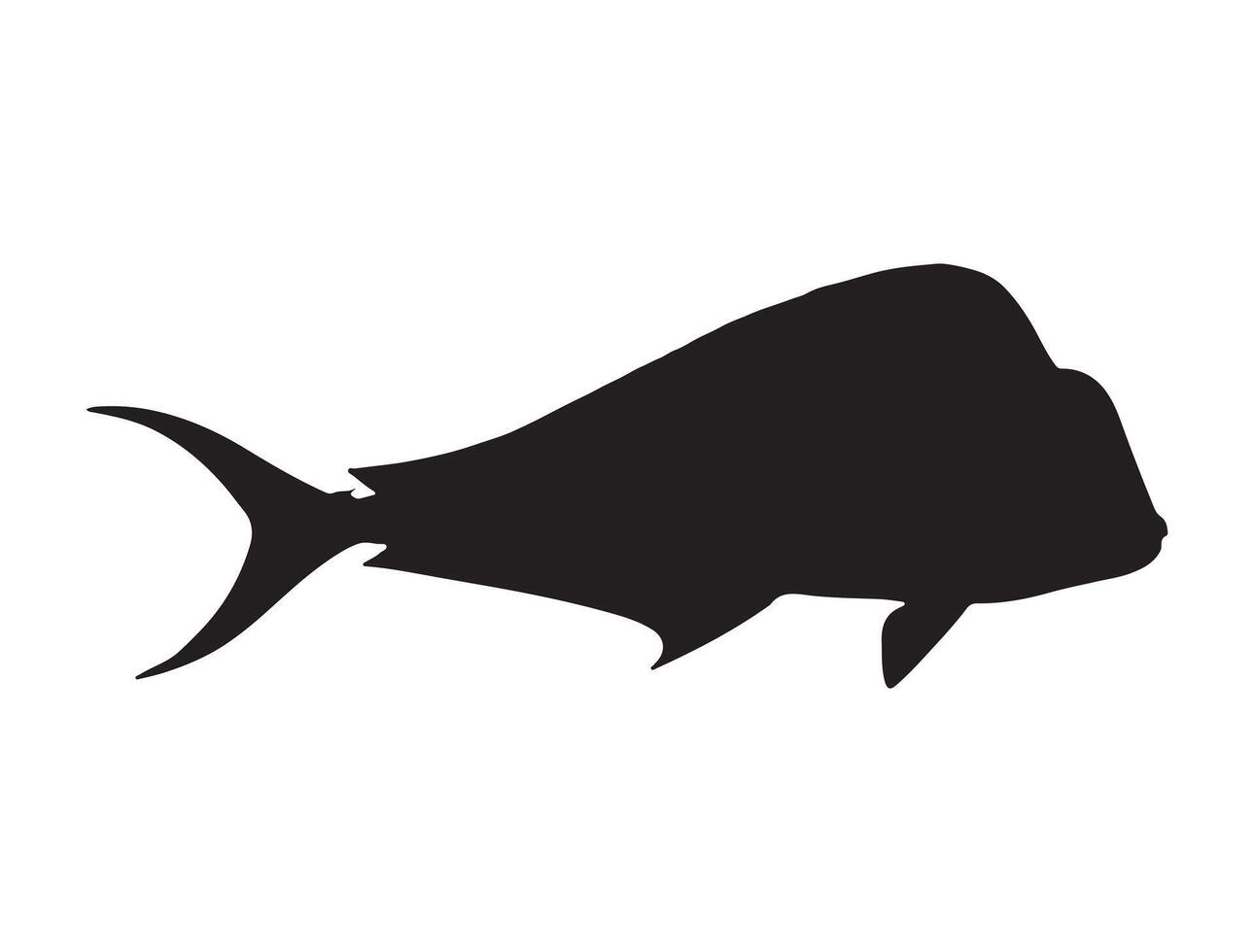 Mahi mahi fish silhouette vector