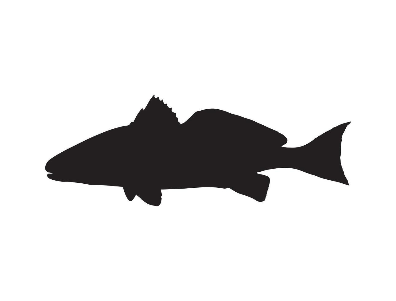 Red drum fish silhouette vector