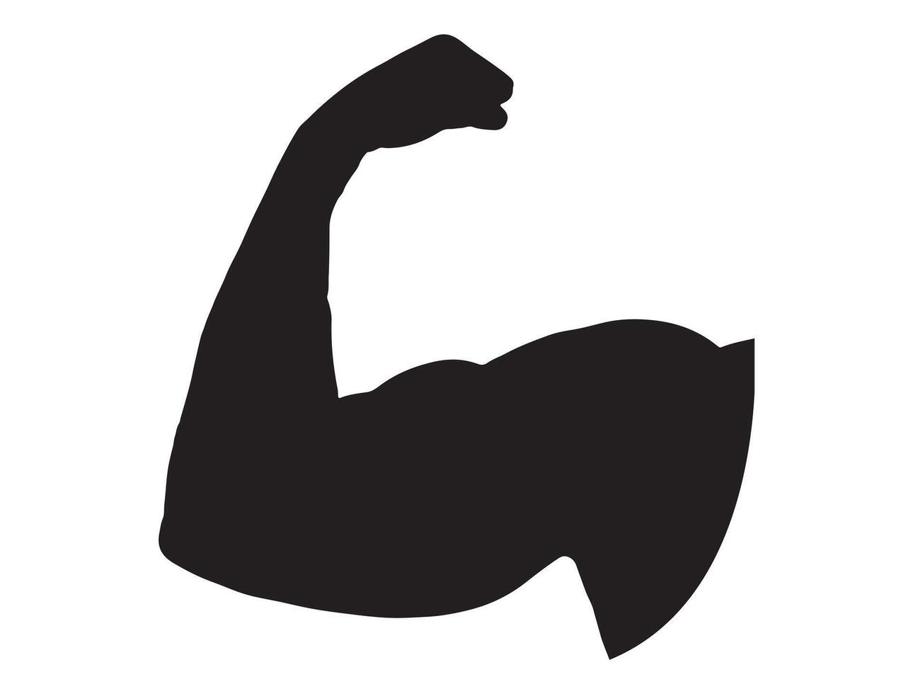 Muscle silhouette on white background vector