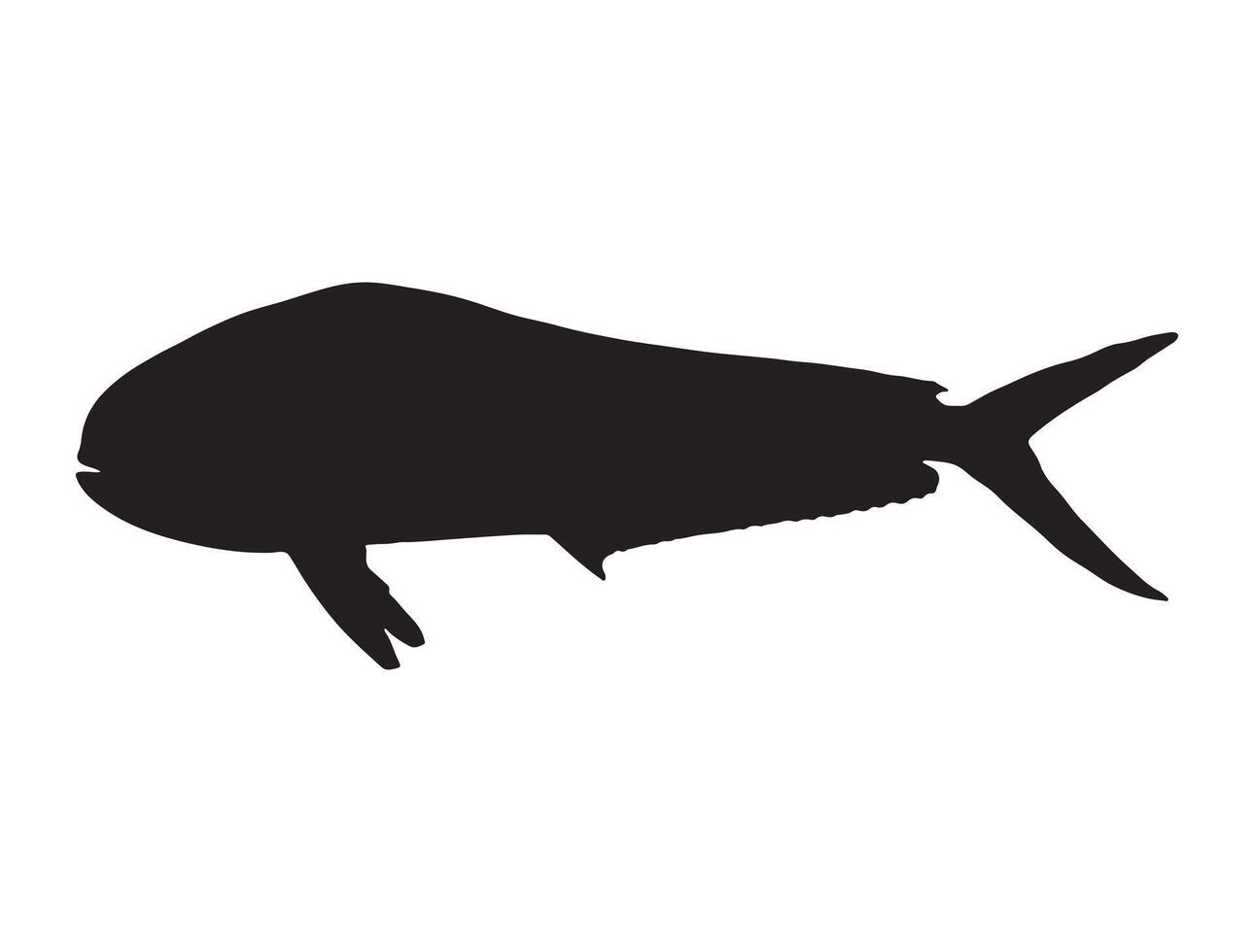 Mahi mahi fish silhouette vector