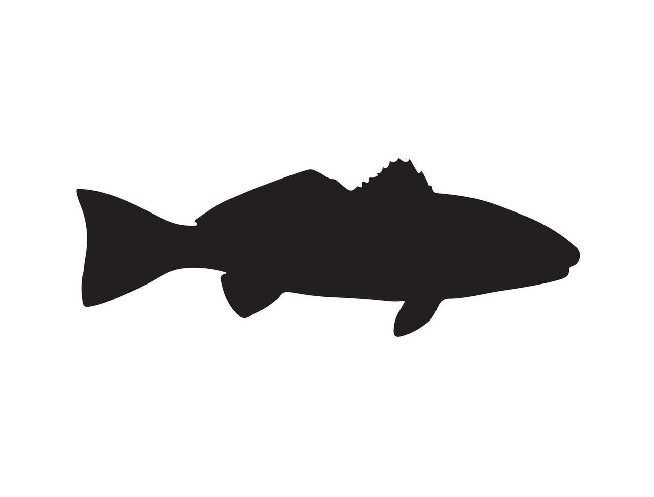 Red drum fish silhouette vector