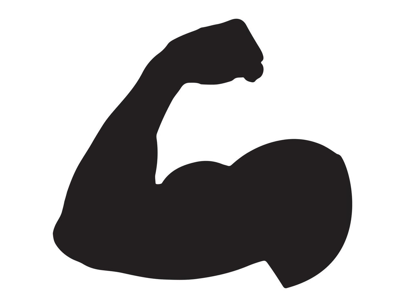 Muscle silhouette on white background vector