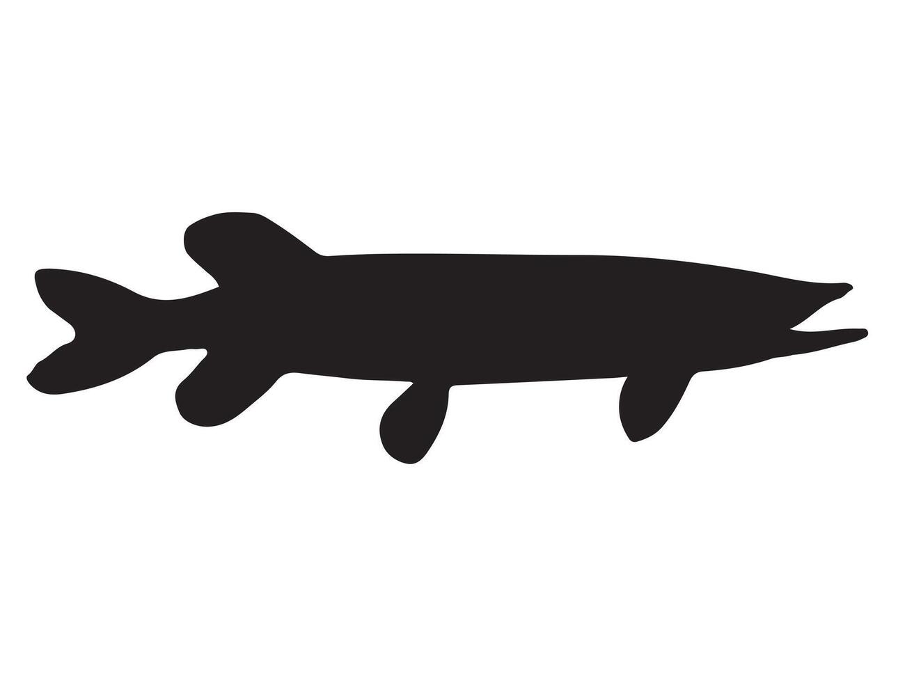 Nothern pike fish silhouette on white background vector