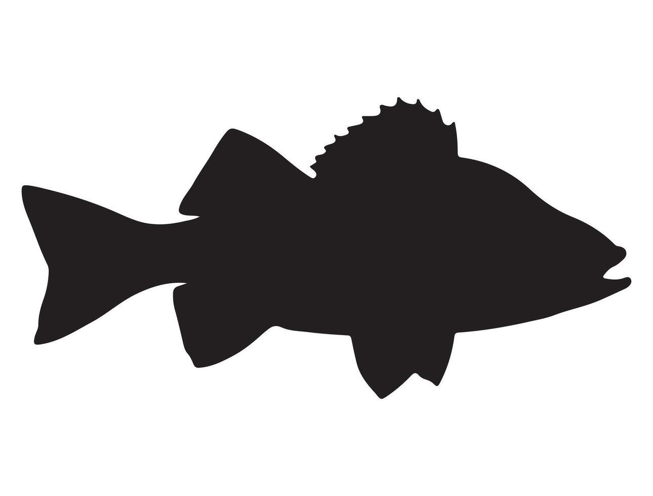 Perch fish silhouette vector