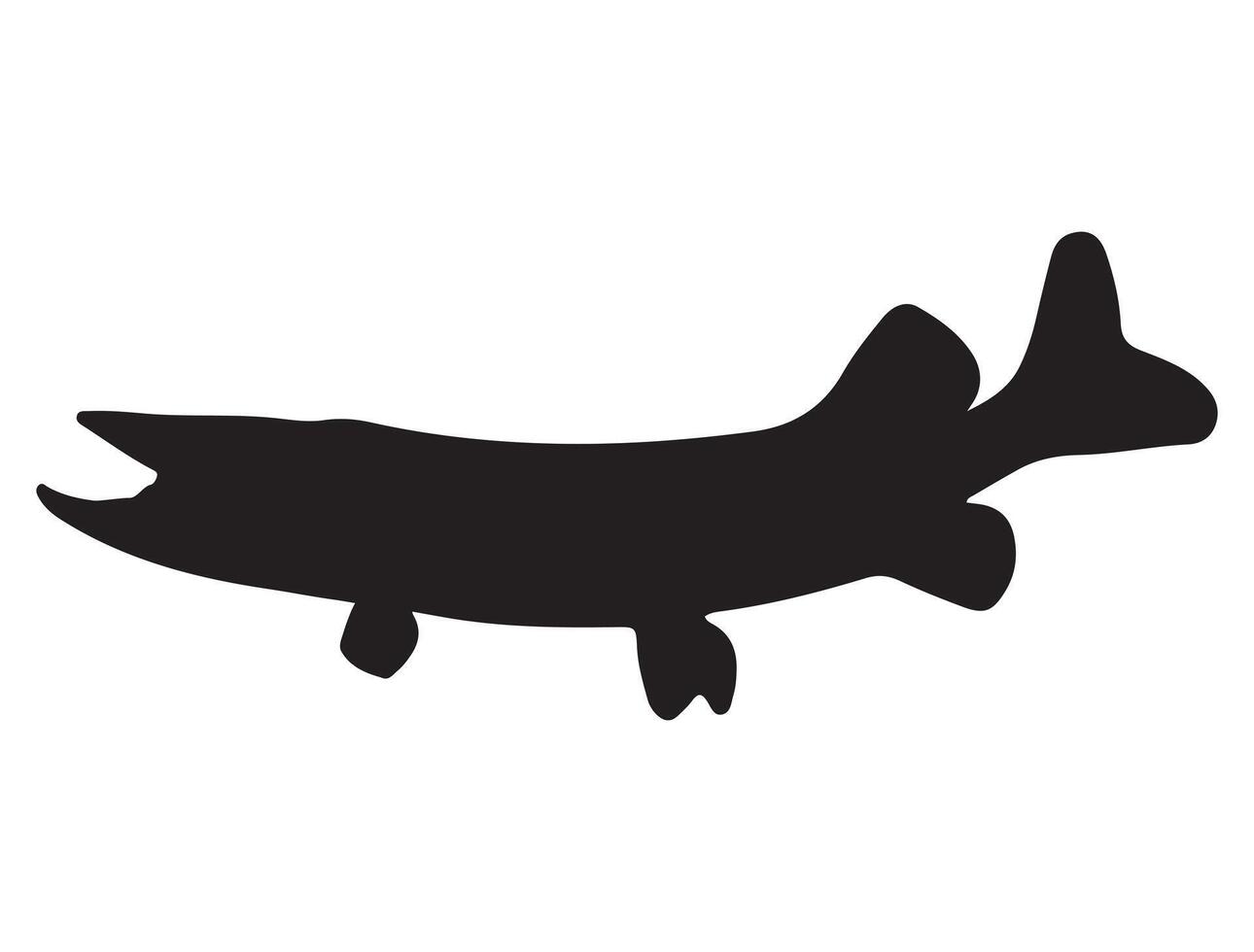Nothern pike fish silhouette on white background vector