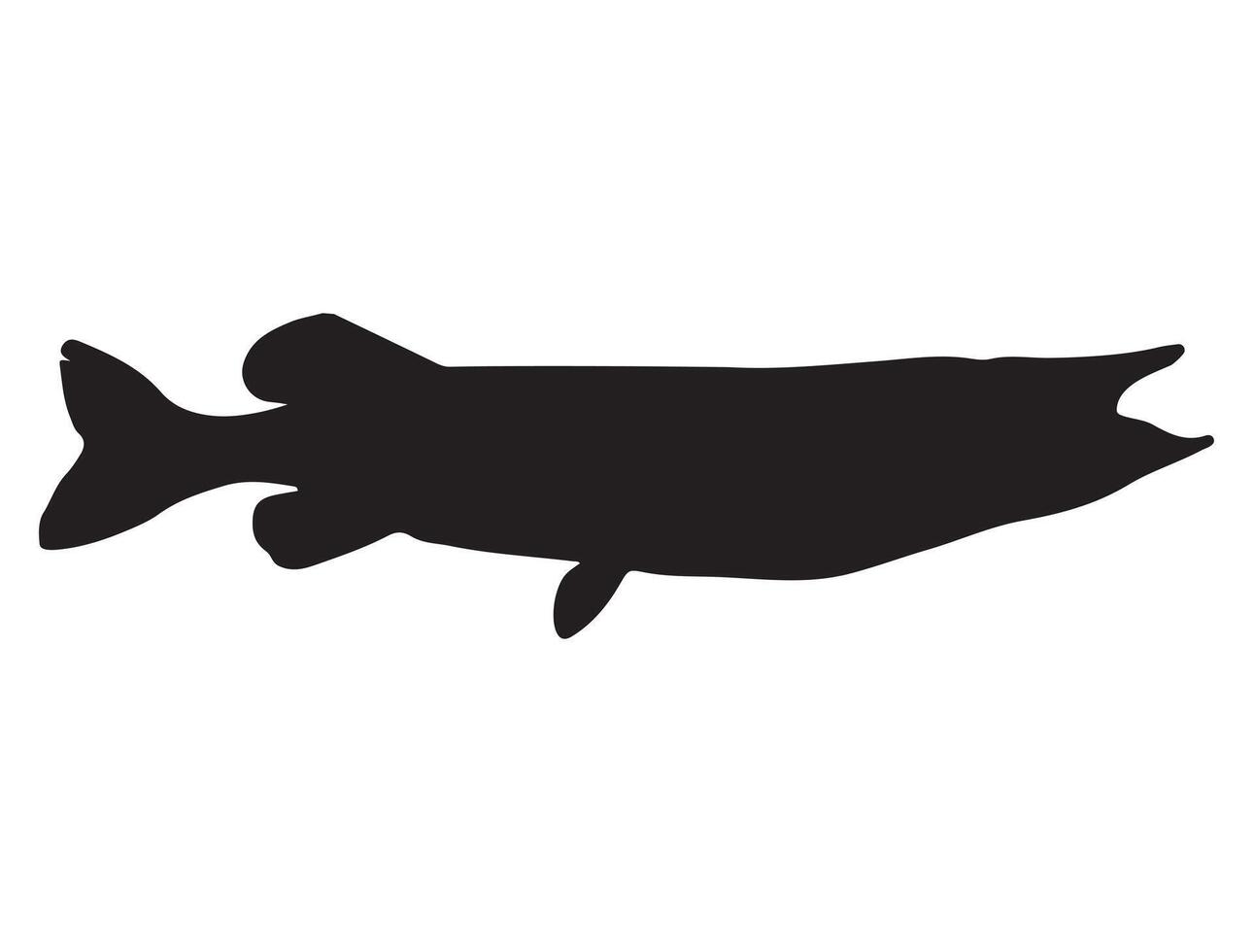 Nothern pike fish silhouette on white background vector