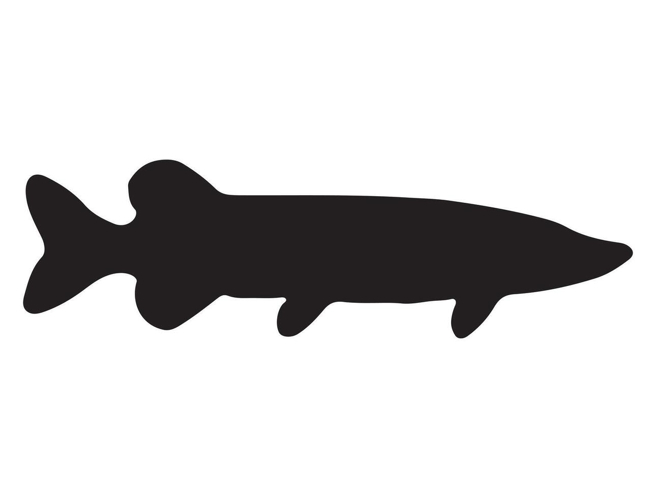 Nothern pike fish silhouette on white background vector
