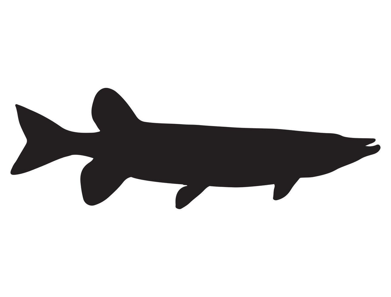 Muskellunge fish silhouette vector