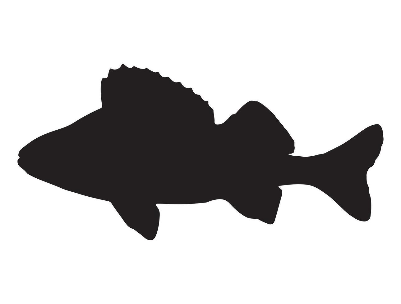 Perch fish silhouette vector