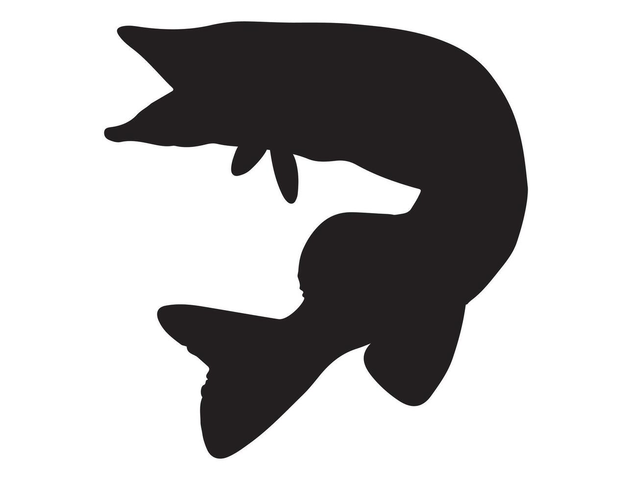 Nothern pike fish silhouette on white background vector