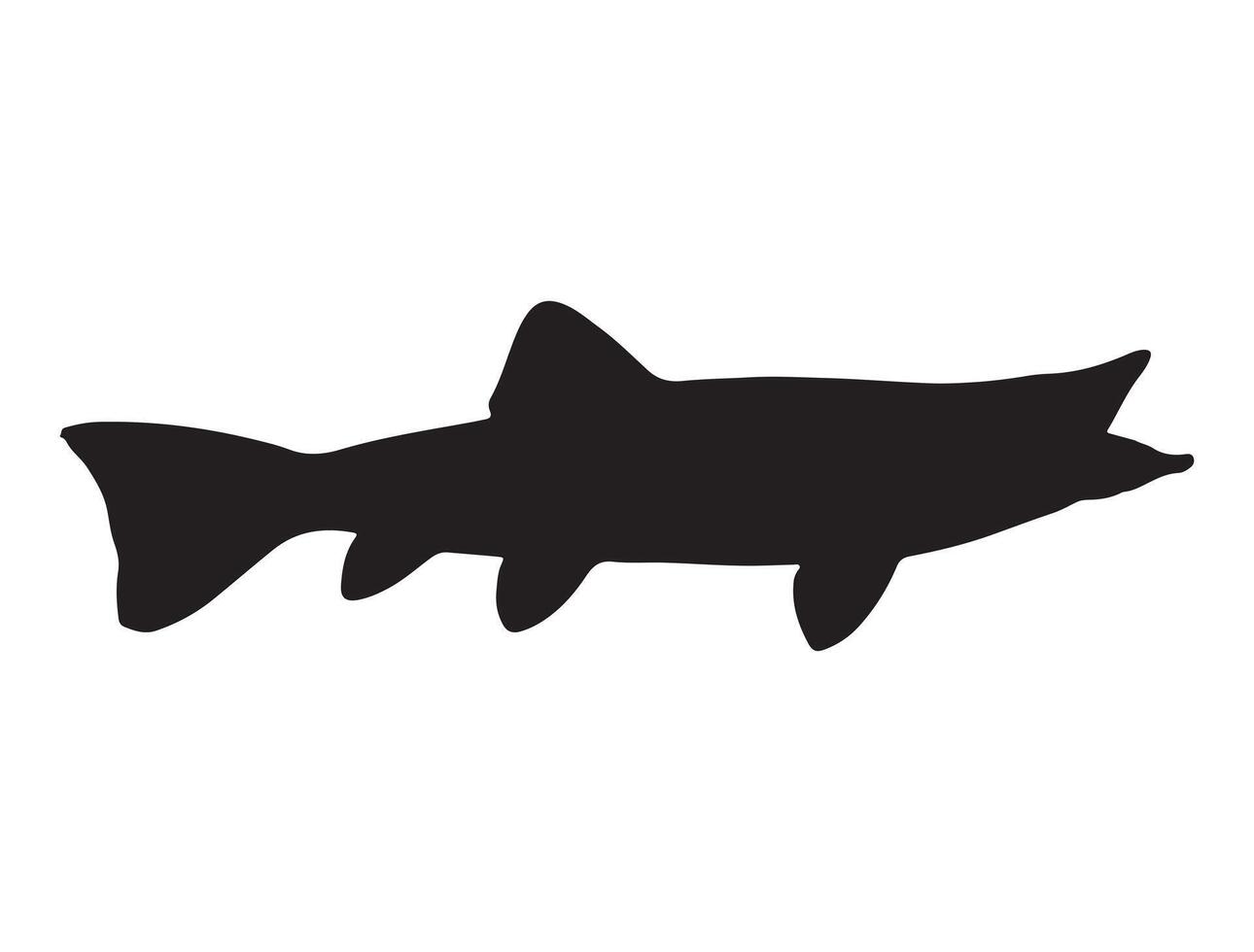Nothern pike fish silhouette on white background vector