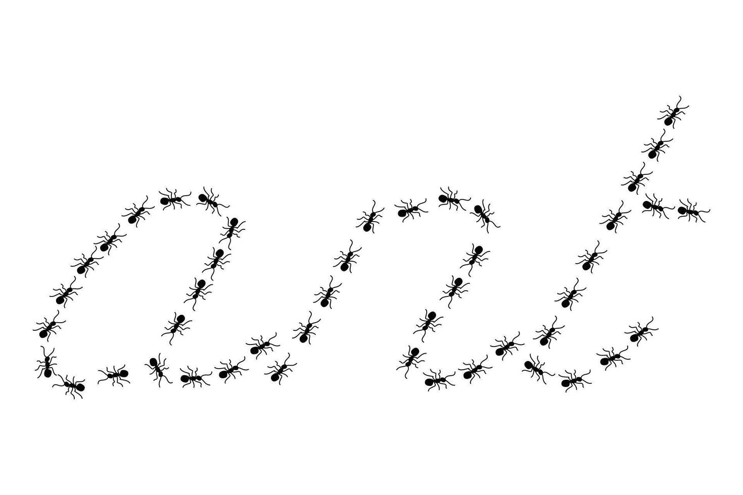 Black Ants are working . Top view of ants bug road trail marching in the line row. vector