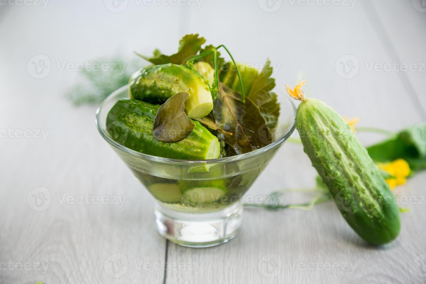 homemade food, lightly salted cucumbers with spices photo