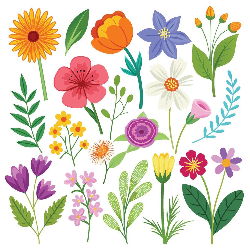 Collection of Summer flower branches drawing vector