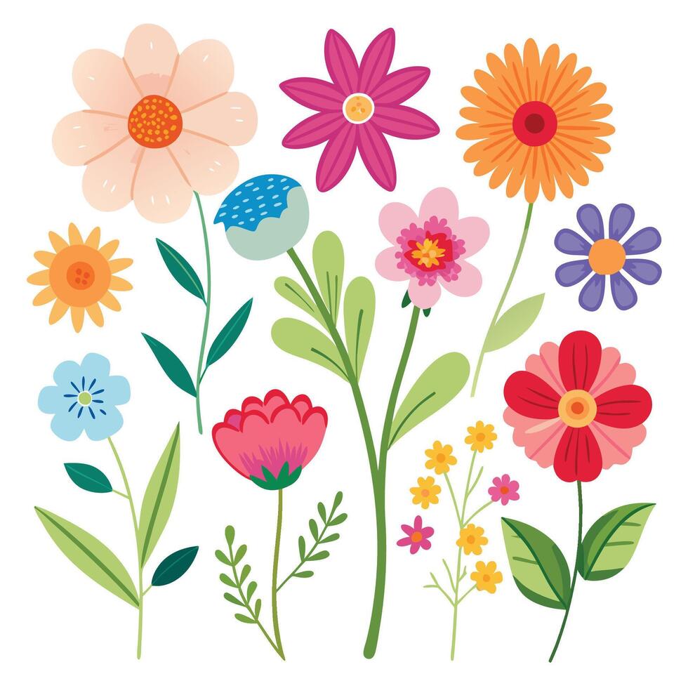 Collection of Summer flower branches drawing vector