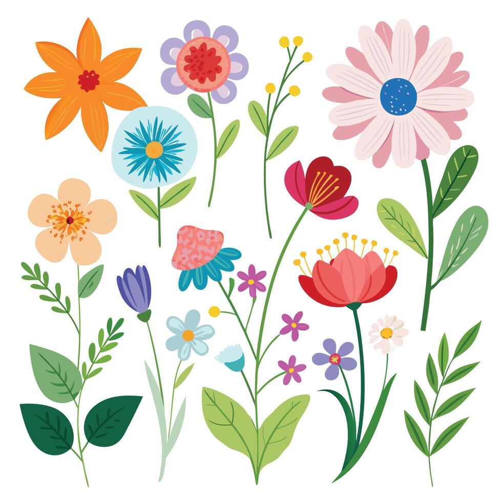 Collection of Summer flower branches drawing vector