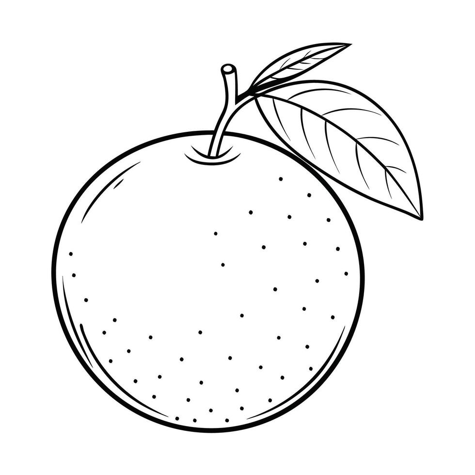 Orange outline for coloring book for kids illustration vector