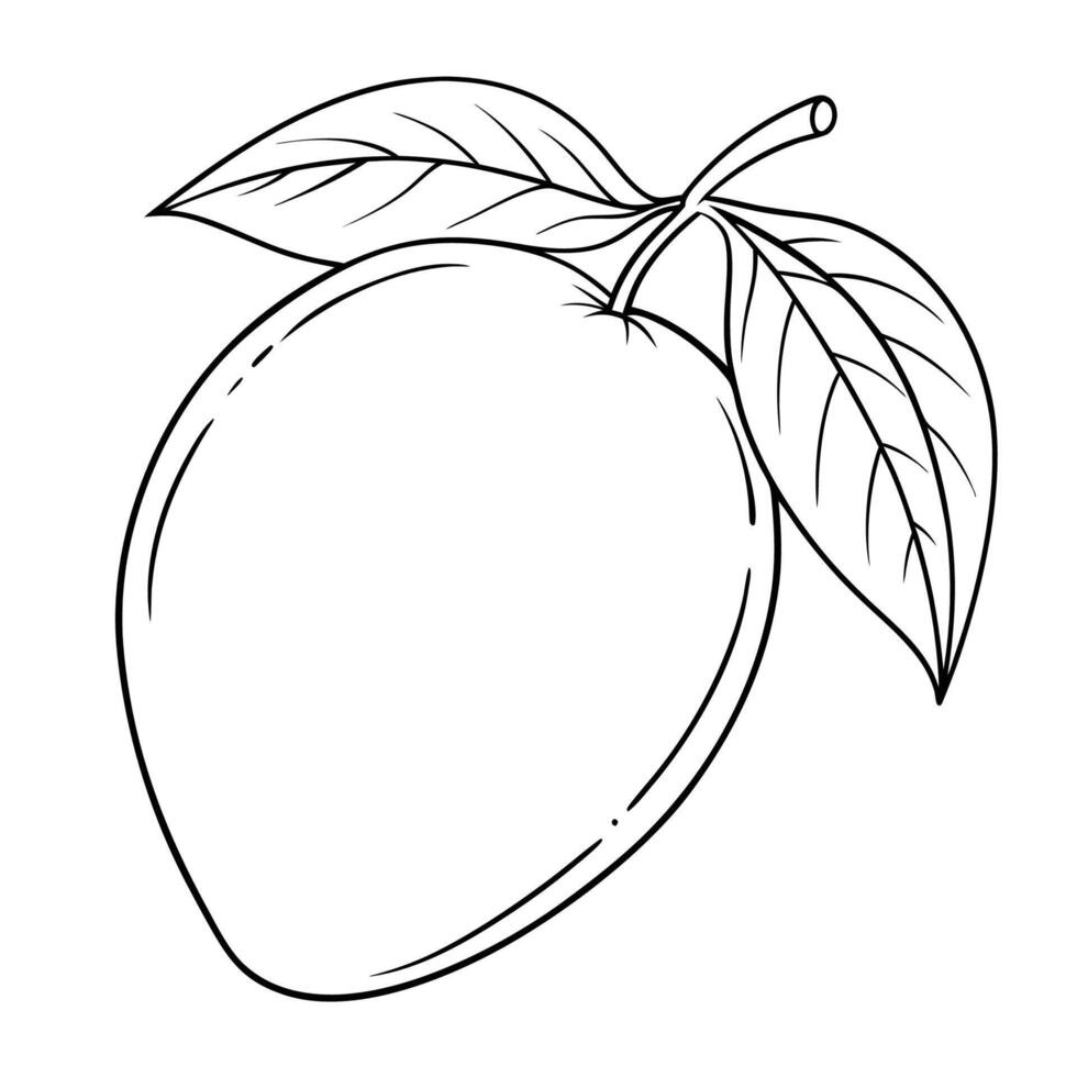 Beautiful Mango Fruit Outline Coloring Book vector