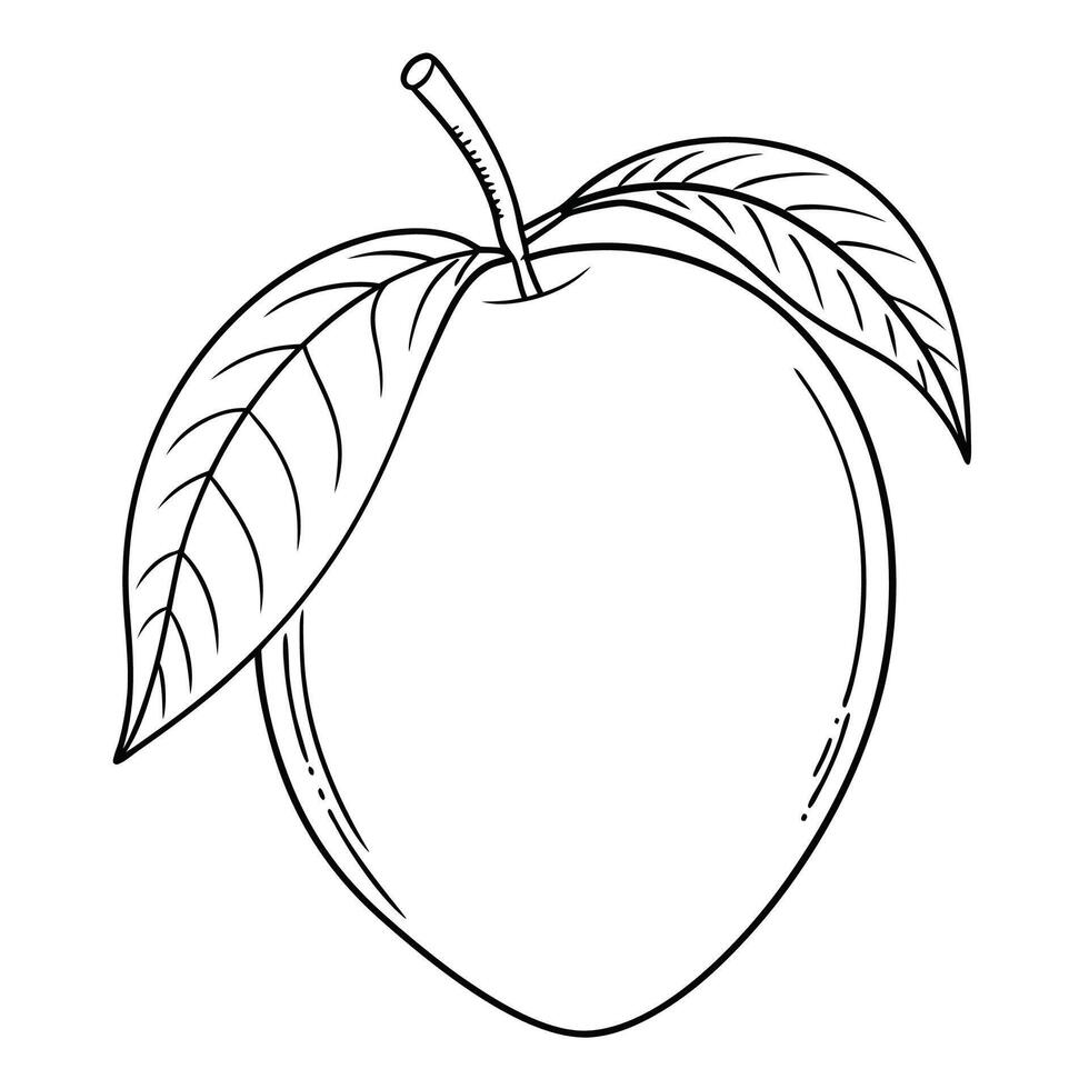 Beautiful Mango Fruit Outline Coloring Book vector